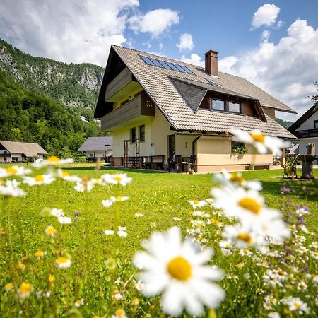 Apartments Darinka Mencinger Bohinj Εξωτερικό φωτογραφία