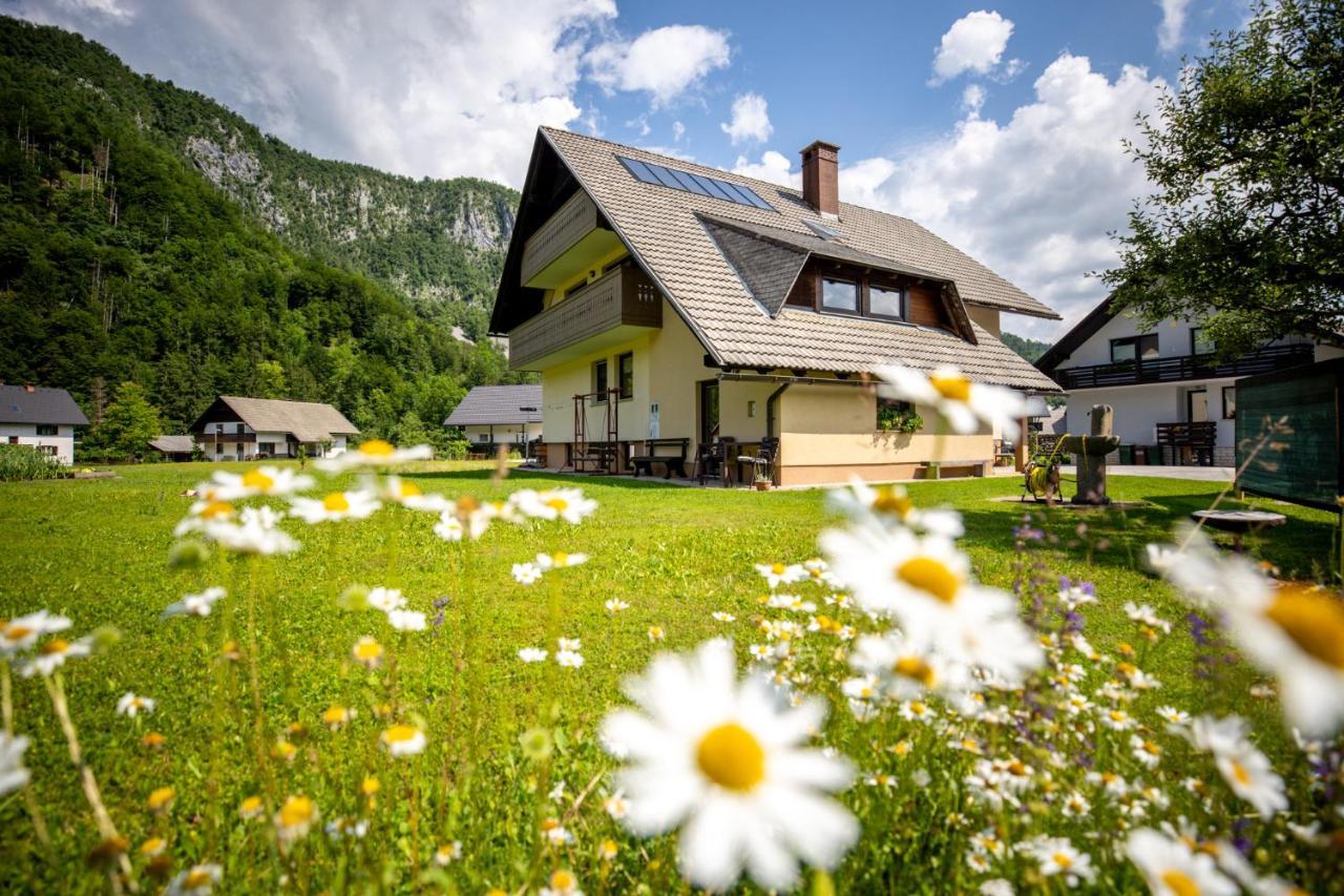 Apartments Darinka Mencinger Bohinj Εξωτερικό φωτογραφία